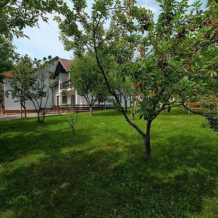 Lagom Apartments Drežnik Grad Exterior foto