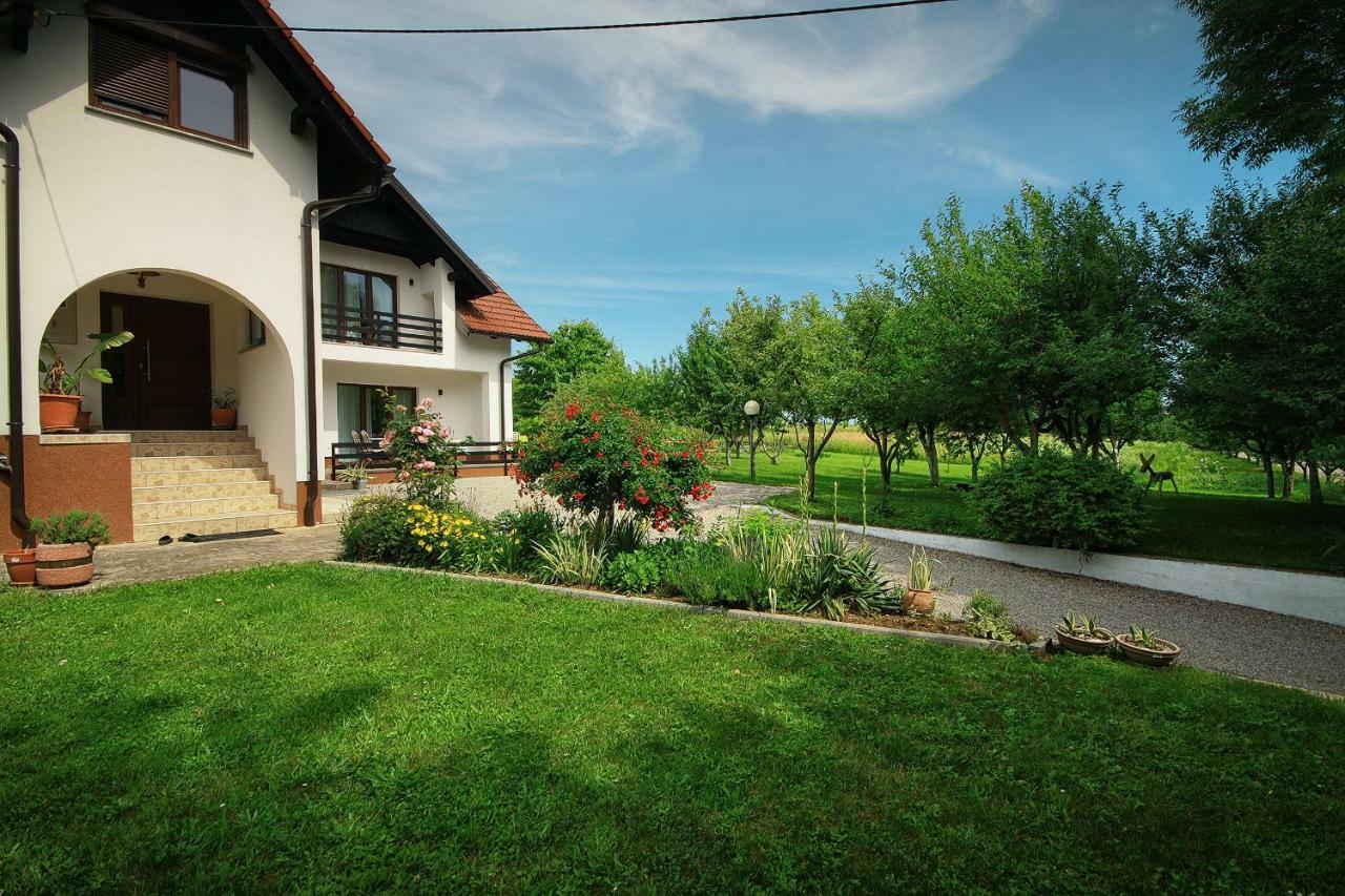 Lagom Apartments Drežnik Grad Exterior foto